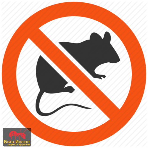 Правилният избор на оръжие е ключът към успешната дератизация - Бран Инсект