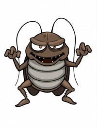 Защо имамe хлебарки в дома си – основни причини? - Бран Инсект