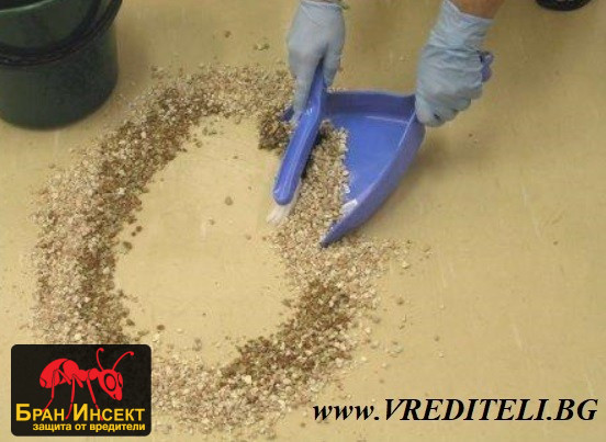 Фирма за дезинфекция и обезпаразитяване на пясъчник - Бран Инсект