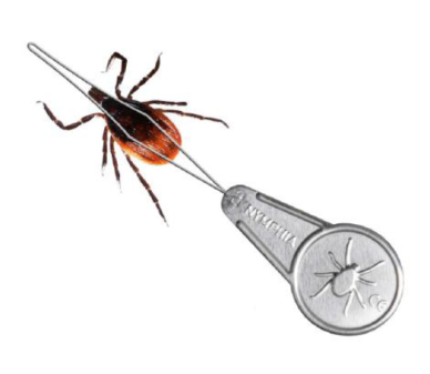 Нимфия (Nimphia) е метална примка за безопасно отстраняване на кърлежи (акари) - Бран Инсект