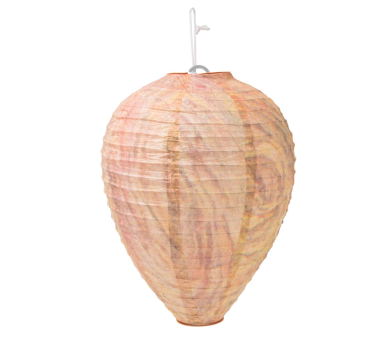 Гнездо на оси приличащо на кошер на оси - осарник - Бран Инсект