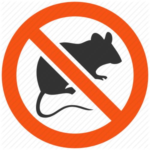 дератизация