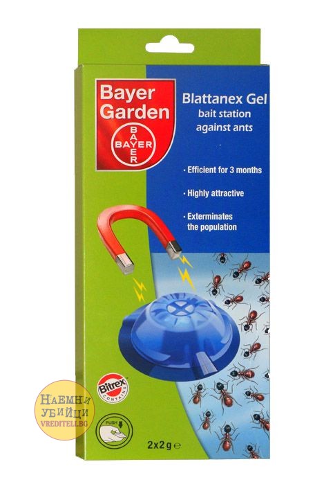 Блатанекс – препарат против мравки в пластмасови къщички » Бpaн Инceĸт