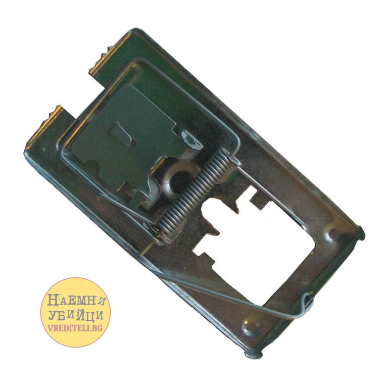 Евтин метален капан за мишки - класически модел » Бpaн Инceĸт