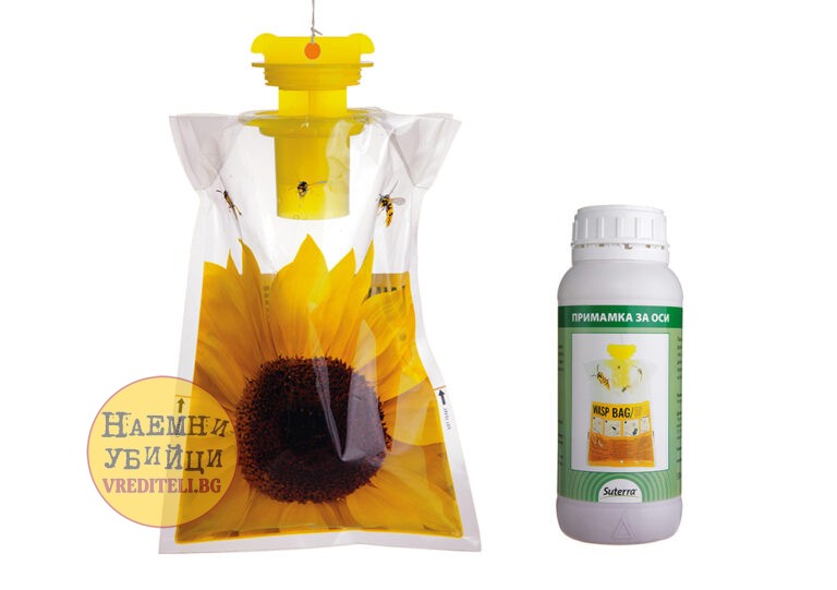 Капан срещу оси и стършели с атрактант, който не е токсичен! » Бpaн Инceĸт