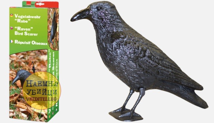 Плашило Гарван против птици: гълъби, врабчета, косове, синигери и др. » Бpaн Инceĸт