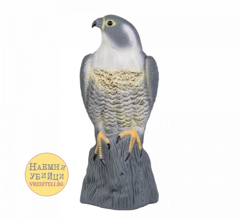 Плашило на кацнал сокол за борба с малки птички и гризачи » Бpaн Инceĸт