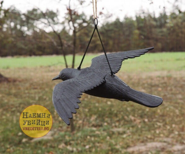 ПЛАШИЛО ЛЕТЯЩ ГАРВАН за защита от птици: синигери гълъби, врабчета, косове, скорци и др. малки птички » Бpaн Инceĸт