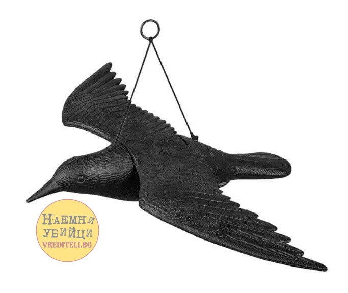 ПЛАШИЛО ЛЕТЯЩ ГАРВАН за защита от птици: синигери гълъби, врабчета, косове, скорци и др. малки птички » Бpaн Инceĸт