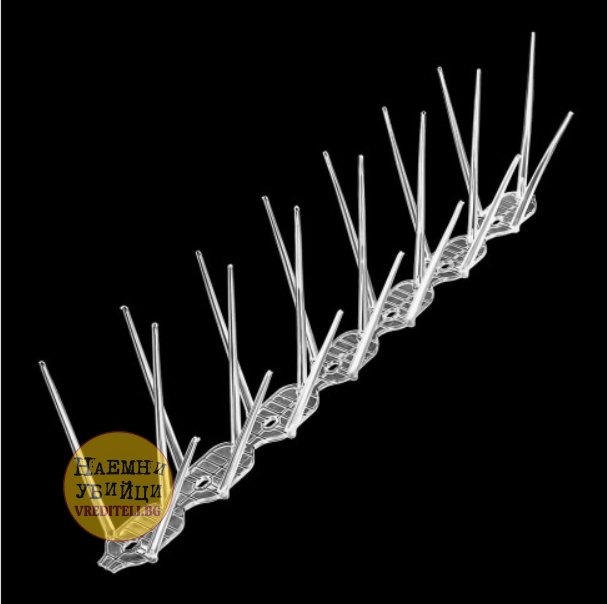 Евтини и качествени пластмасови шипове за птици » Бpaн Инceĸт