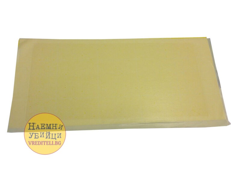 Плоскост с лепило за лампа Light Spider 2 на евтина цена » Бpaн Инceĸт