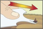 Save Card – карта за вадене на кърлежи, жила от пчели, тръни други » Бpaн Инceĸт