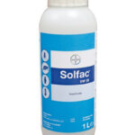 Капан за улавяне на молци по храни, тютюн... Защита от молцови пеперуди - ниска цена » Бpaн Инceĸт