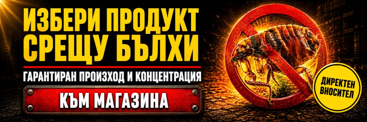 Статии за Бълхи