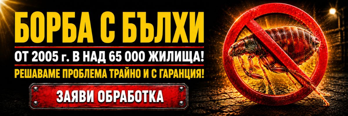 Статии за Бълхи