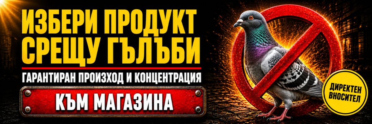 Статии за Гълъби
