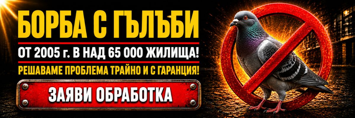 Статии за Гълъби