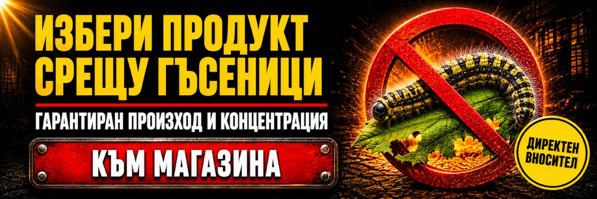 Статии за Гъсеници