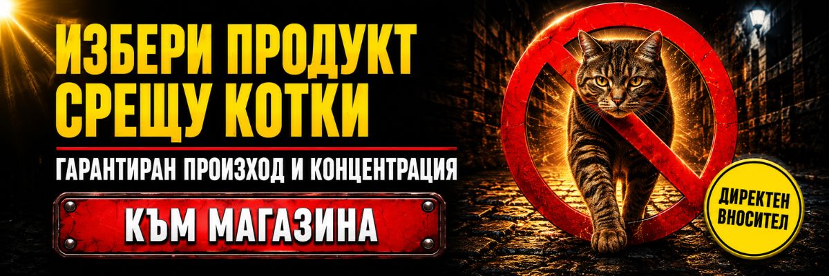 Статии за Котки