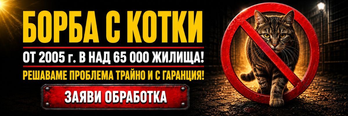 Статии за Котки