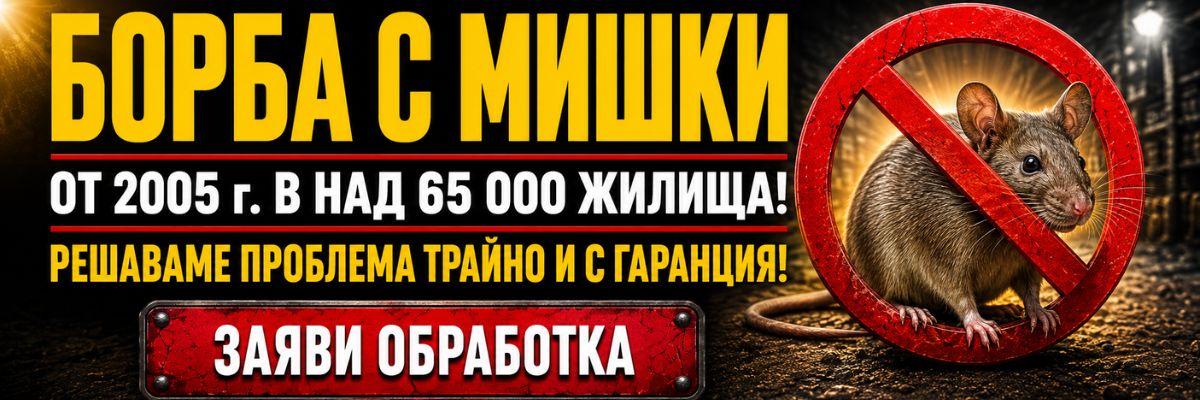 Статии за Мишки