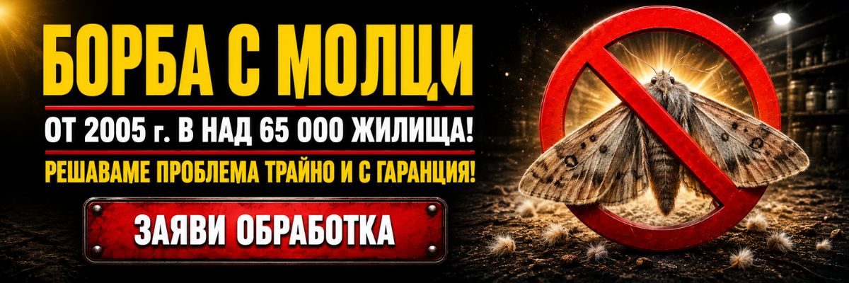 Статии за Молци