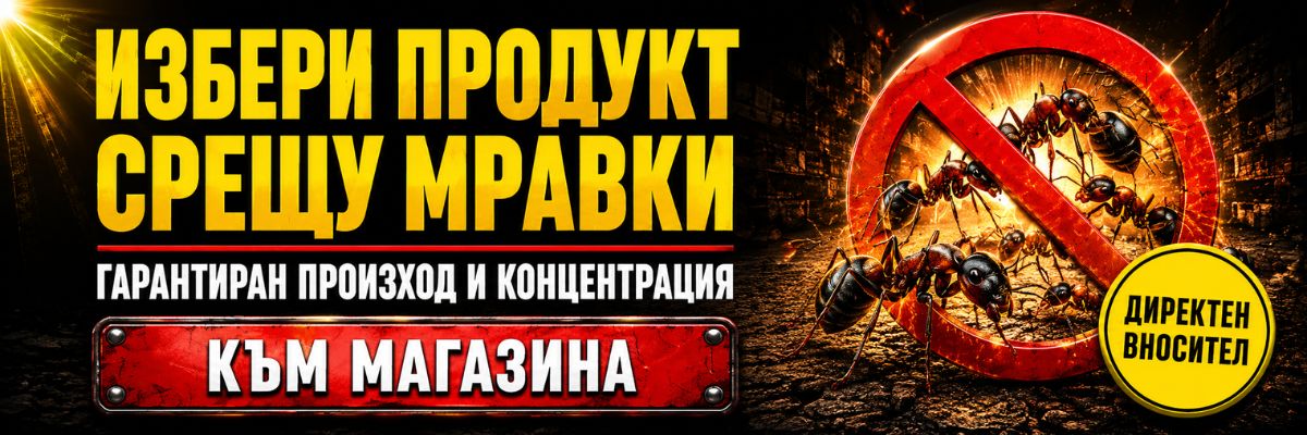 Статии за Мравки