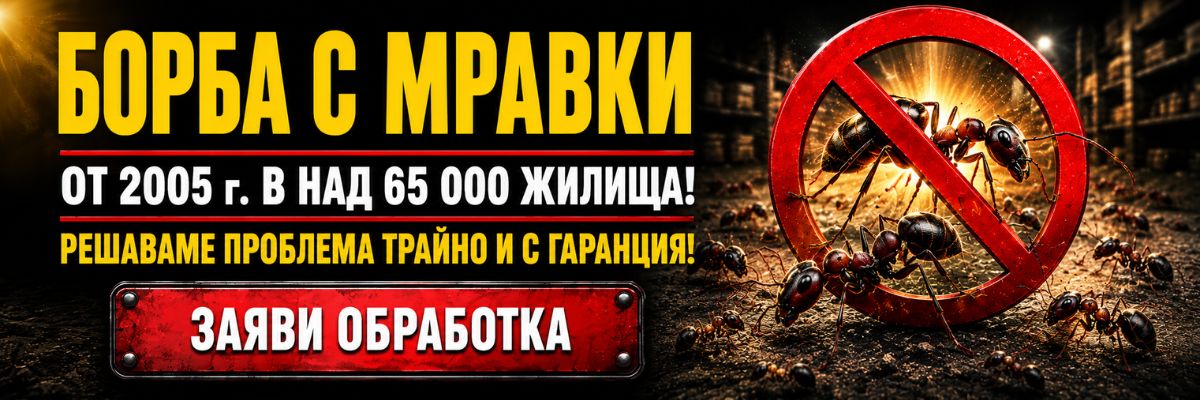 Статии за Мравки