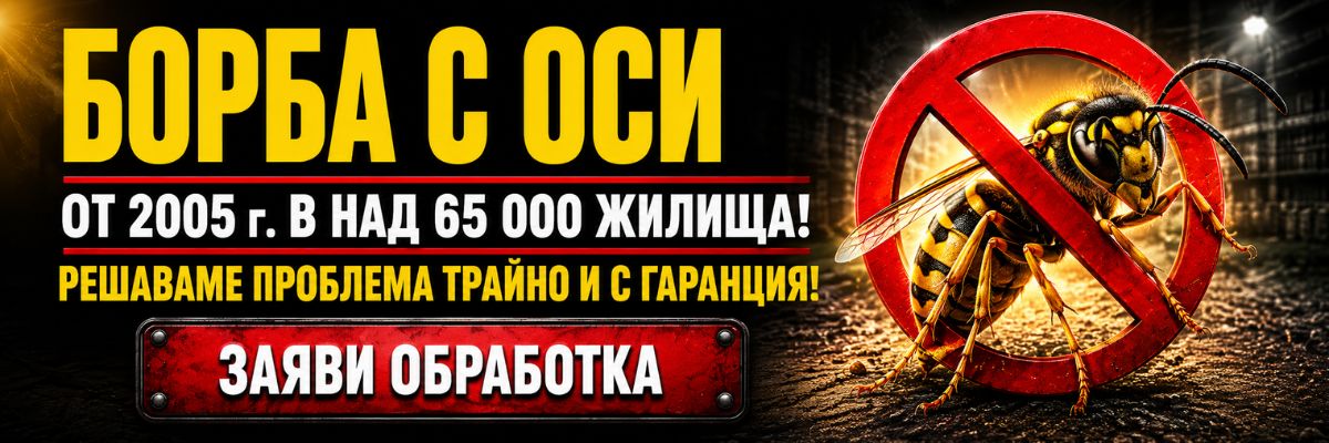 Статии за Оси