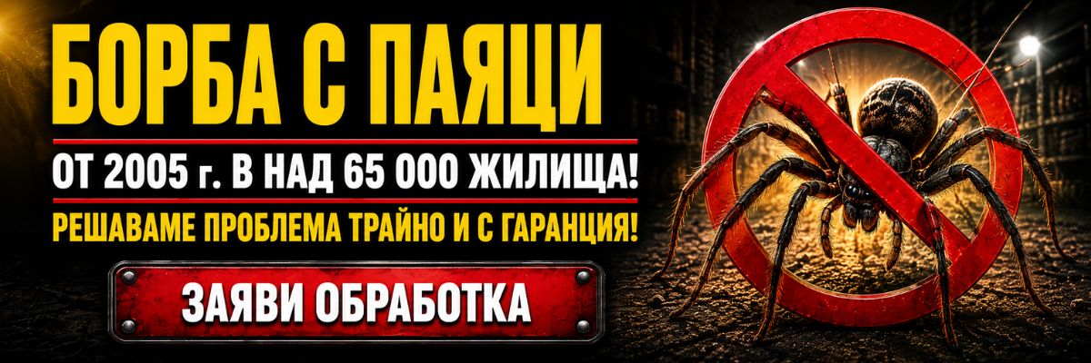 Статии за Паяци