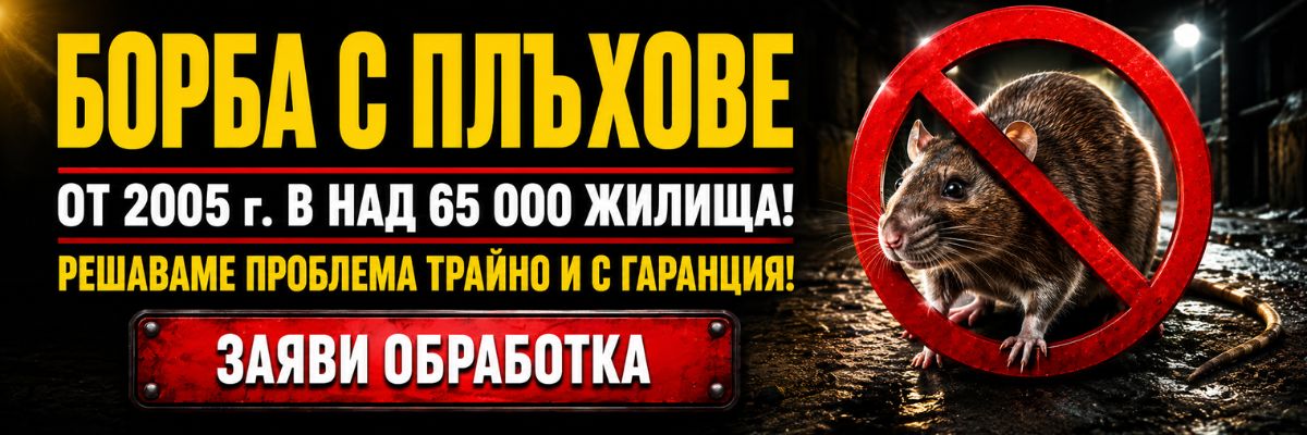Статии за Плъхове