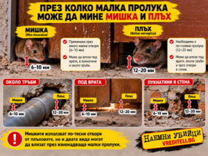 Малки входни пролуки около тръба и врата, използвани от гризачи